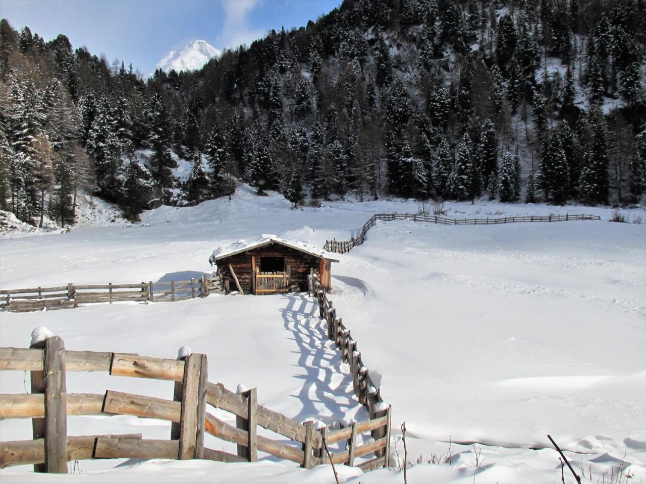 Aichner Aparthotel 3*
